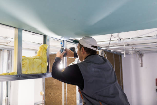 Best Insulation Maintenance and Repair in Ranchos De Taos, NM
