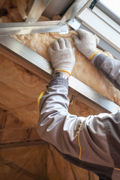 Best Cellulose Insulation in Ranchos De Taos, NM